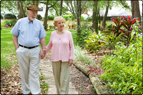 Probate and Estate Law